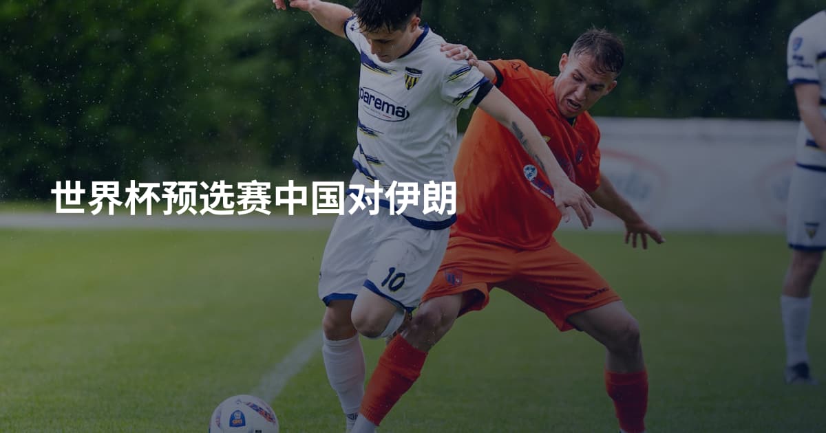 世界杯预选赛中国对伊朗