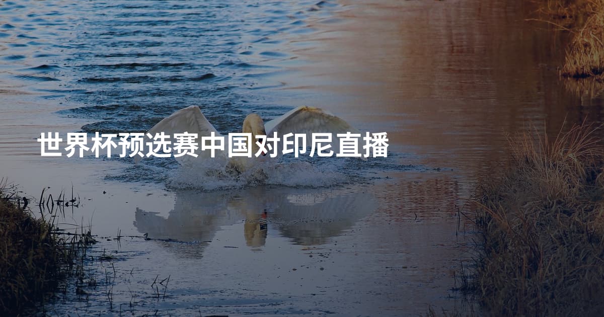 世界杯预选赛中国对印尼直播