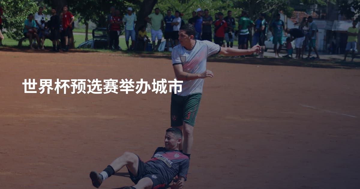 世界杯预选赛举办城市