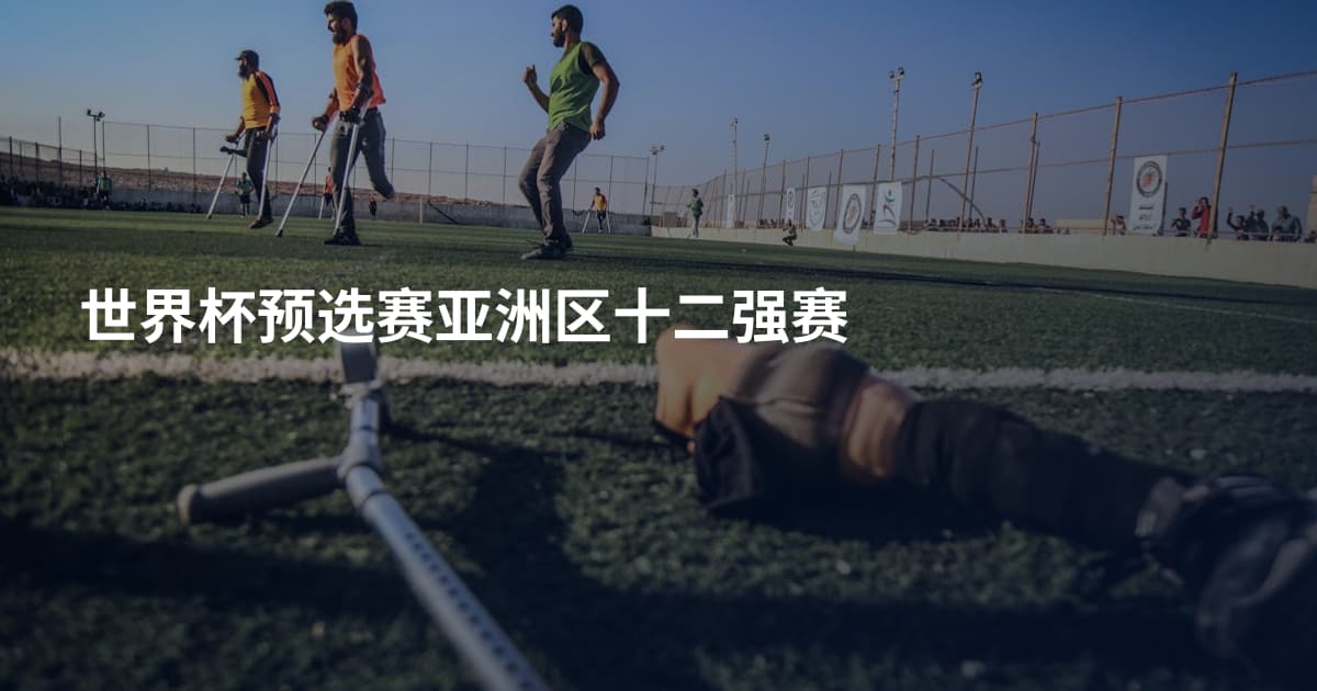 世界杯预选赛亚洲区十二强赛