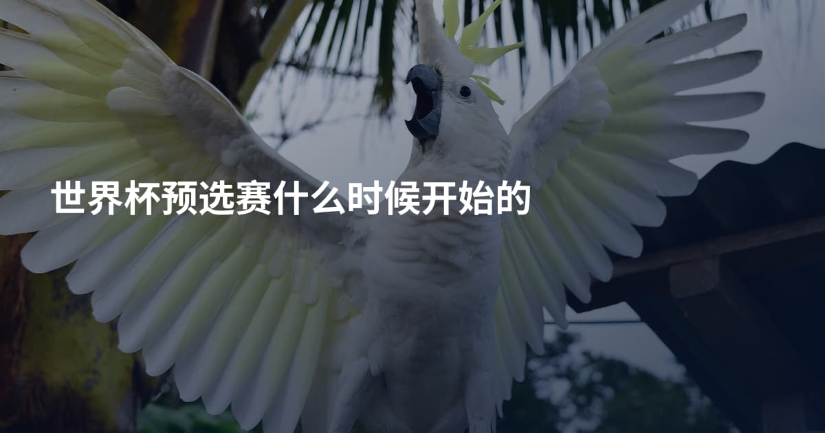 世界杯预选赛什么时候开始的