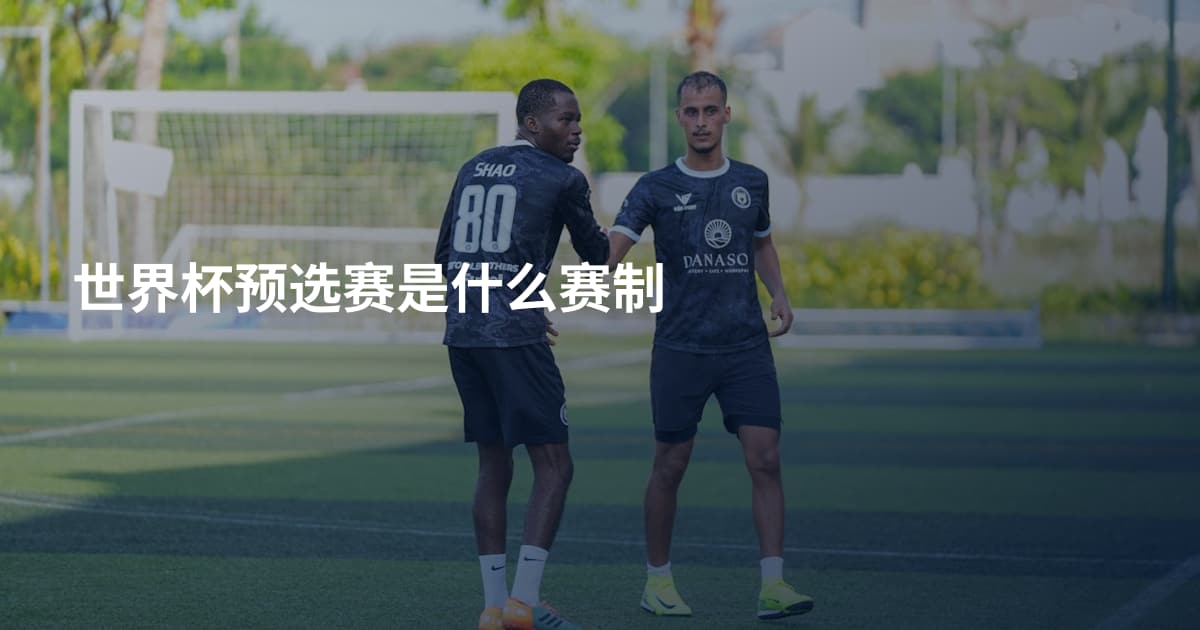 世界杯预选赛是什么赛制