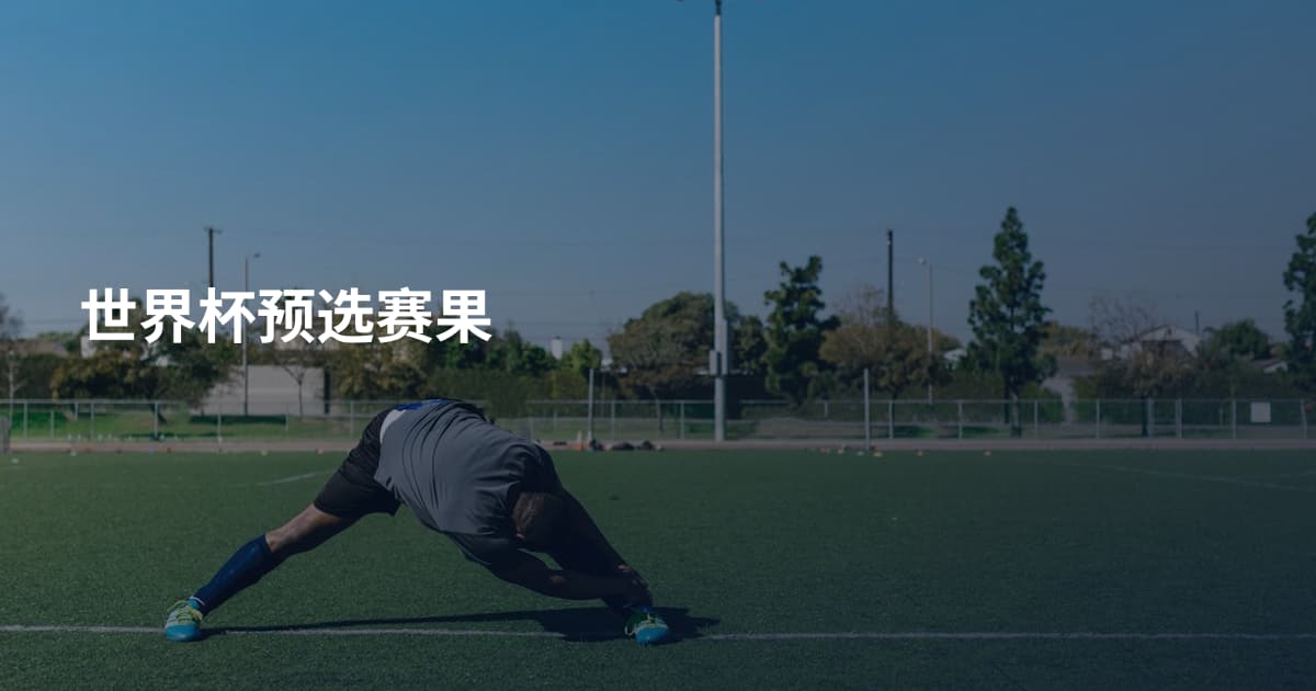 世界杯预选赛果