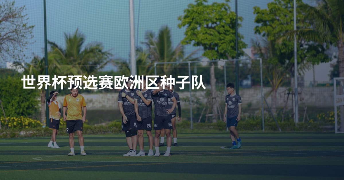 世界杯预选赛欧洲区种子队