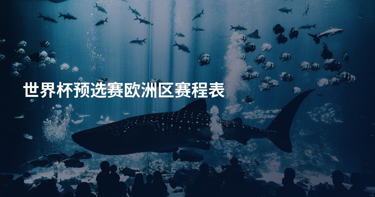 世界杯预选赛欧洲区赛程表