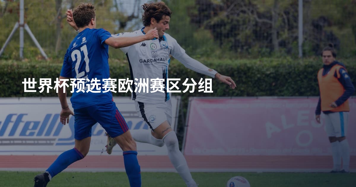 世界杯预选赛欧洲赛区分组