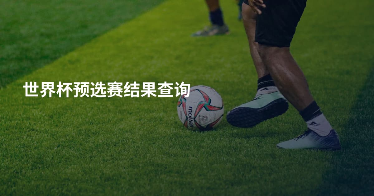 世界杯预选赛结果查询