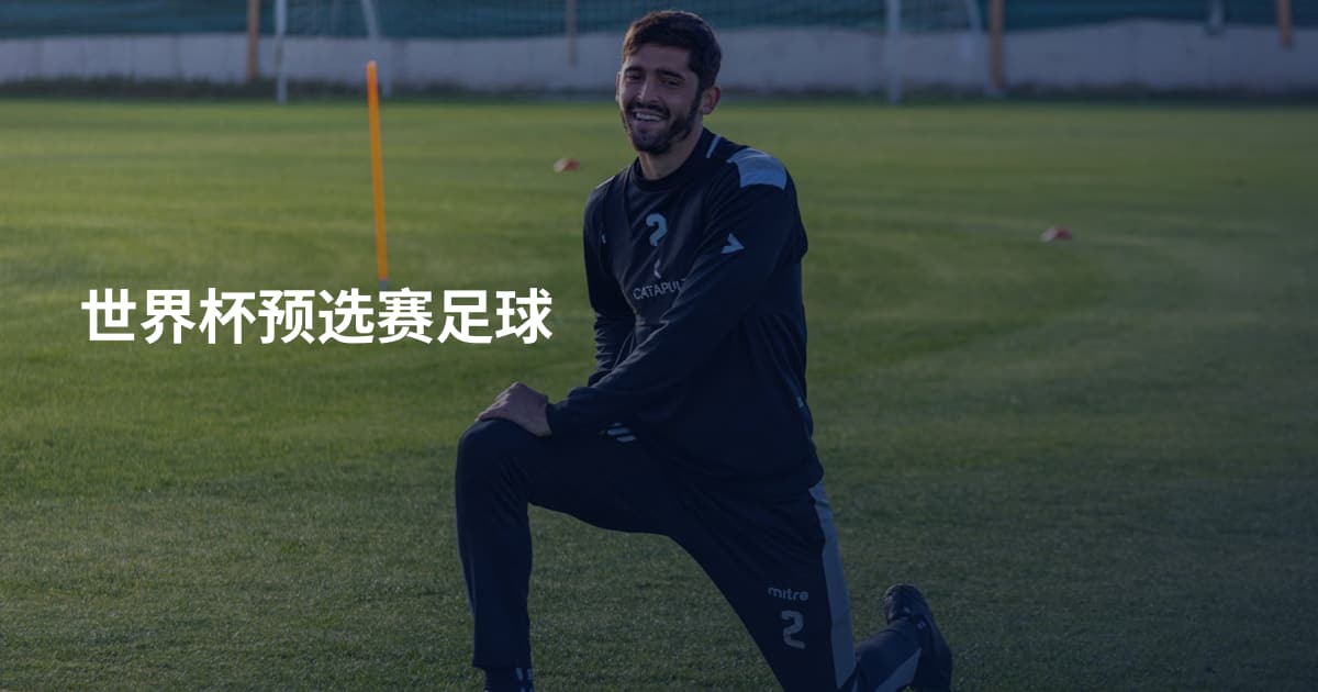 世界杯预选赛足球