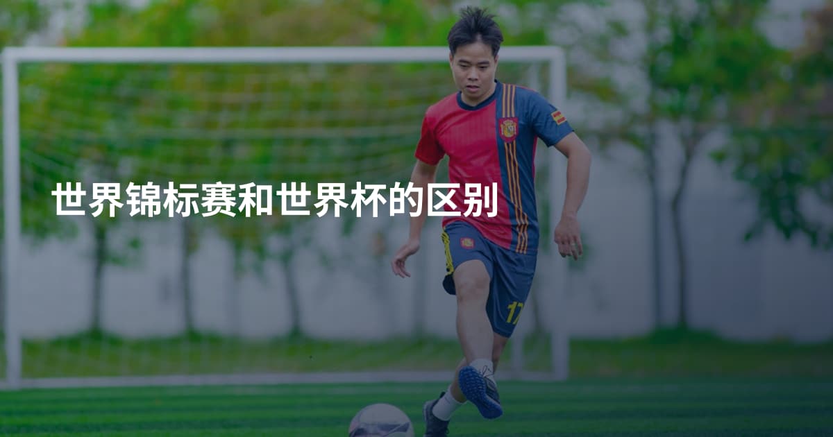 世界锦标赛和世界杯的区别