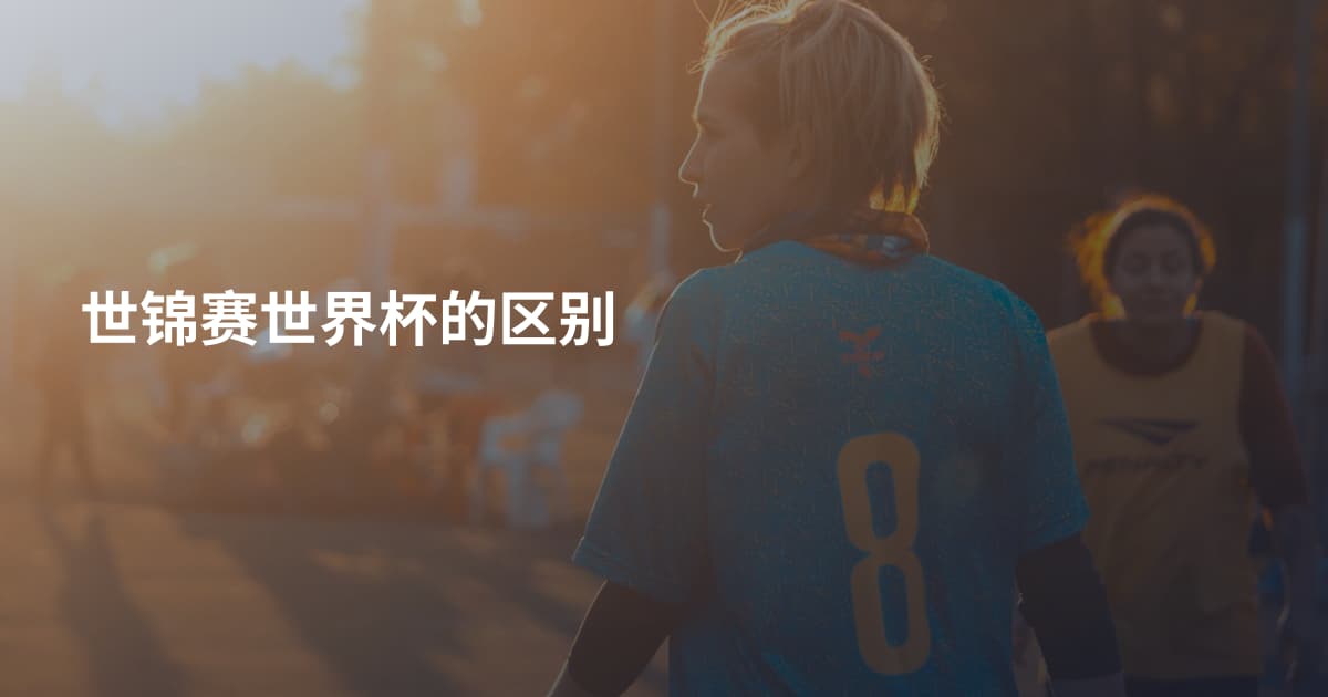 世锦赛世界杯的区别