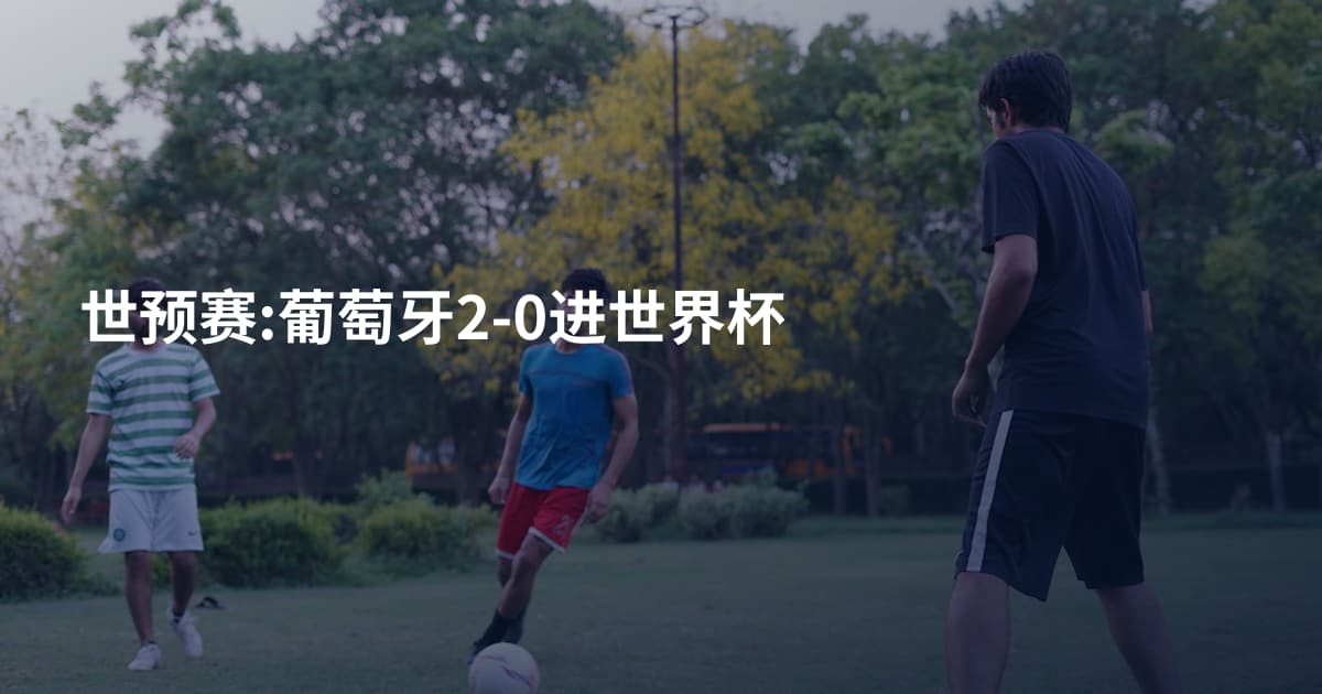 世预赛:葡萄牙2-0进世界杯