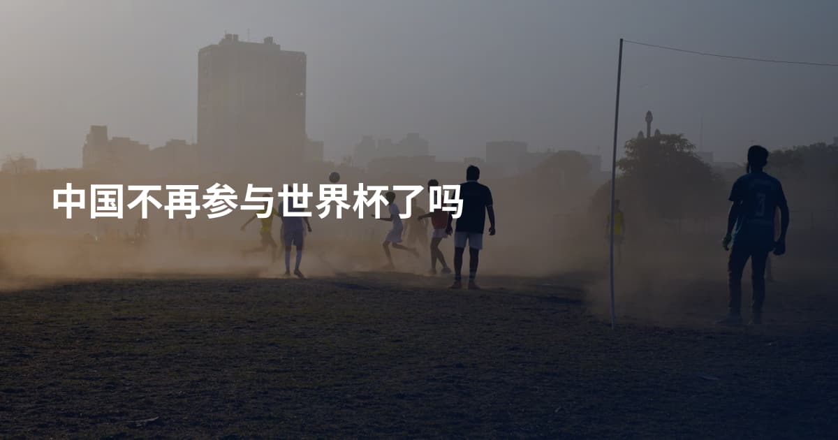 中国不再参与世界杯了吗