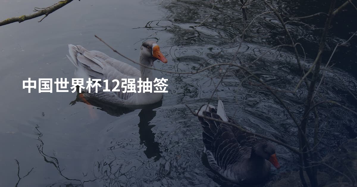 中国世界杯12强抽签