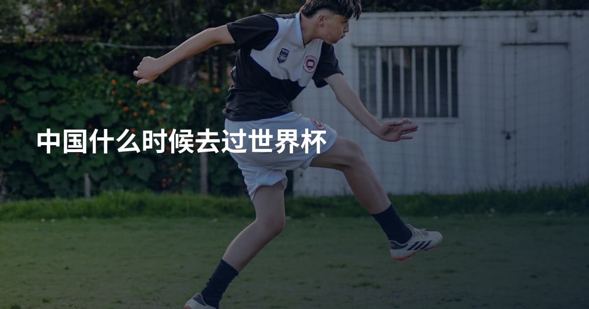 中国什么时候去过世界杯