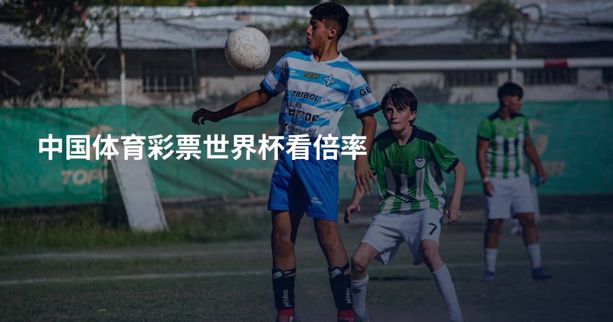 中国体育彩票世界杯看倍率