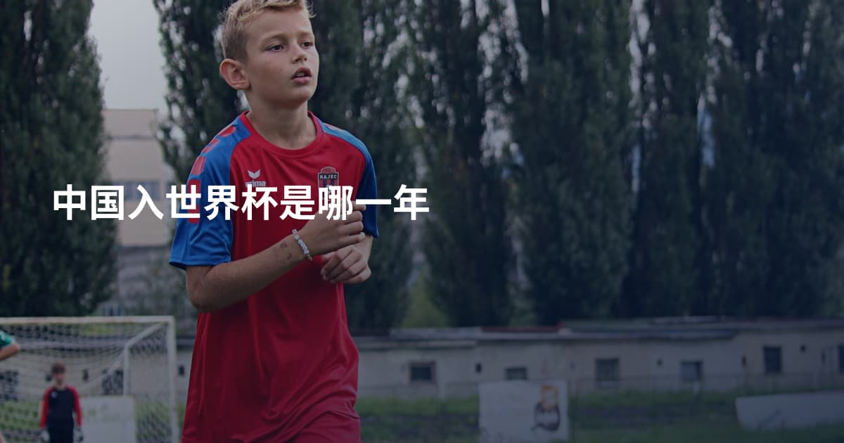 中国入世界杯是哪一年