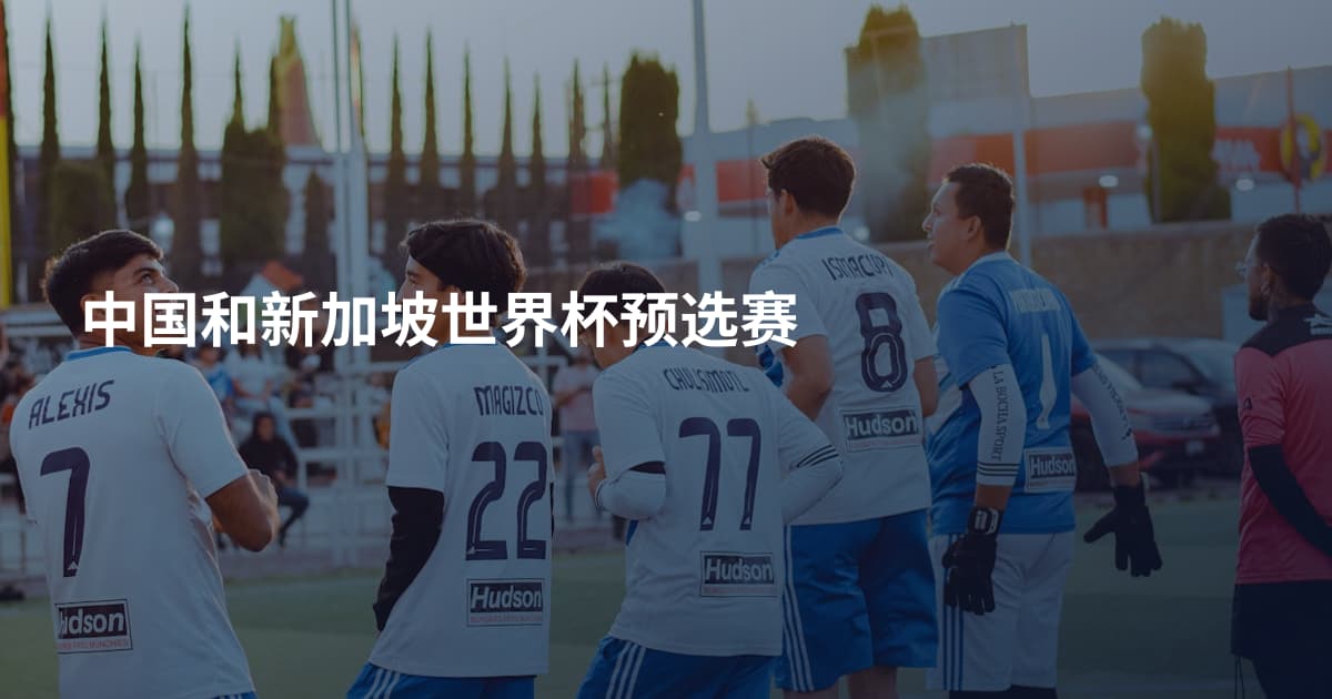 中国和新加坡世界杯预选赛