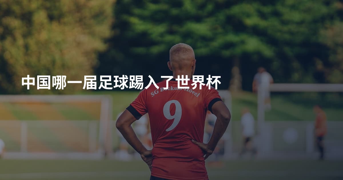 中国哪一届足球踢入了世界杯