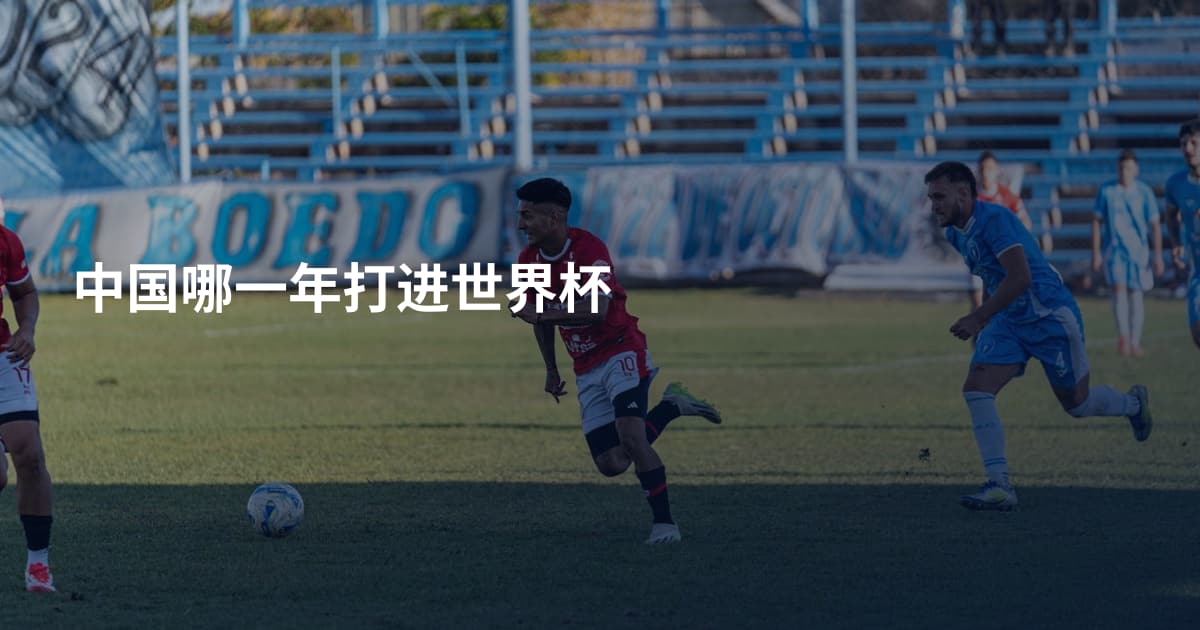 中国哪一年打进世界杯