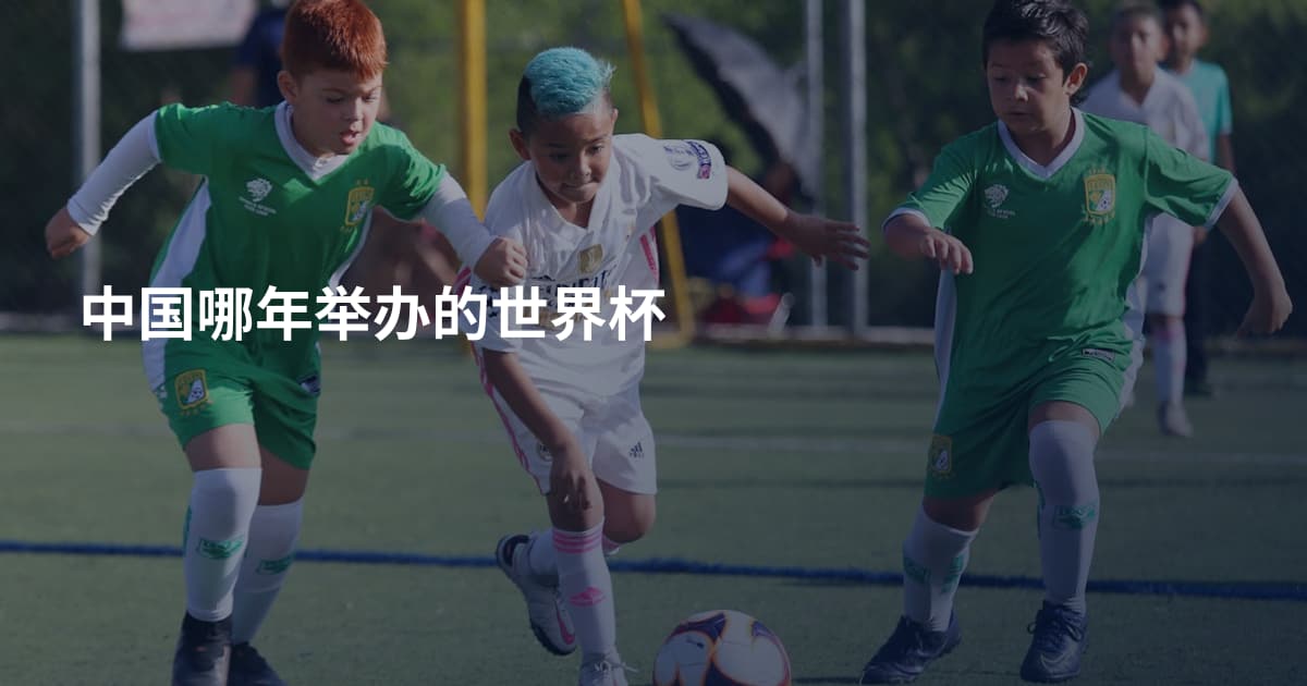 中国哪年举办的世界杯