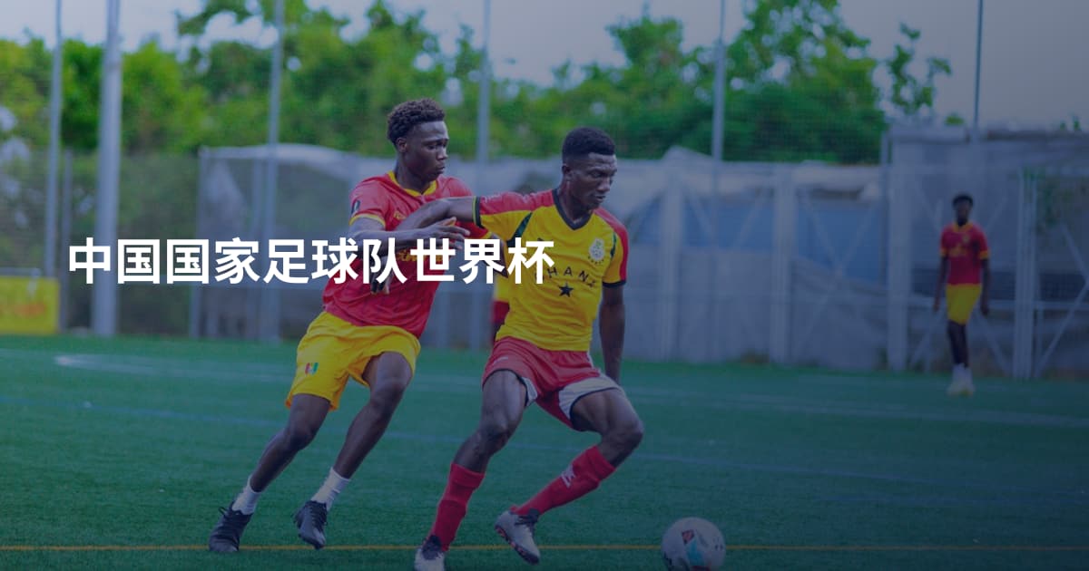 中国国家足球队世界杯