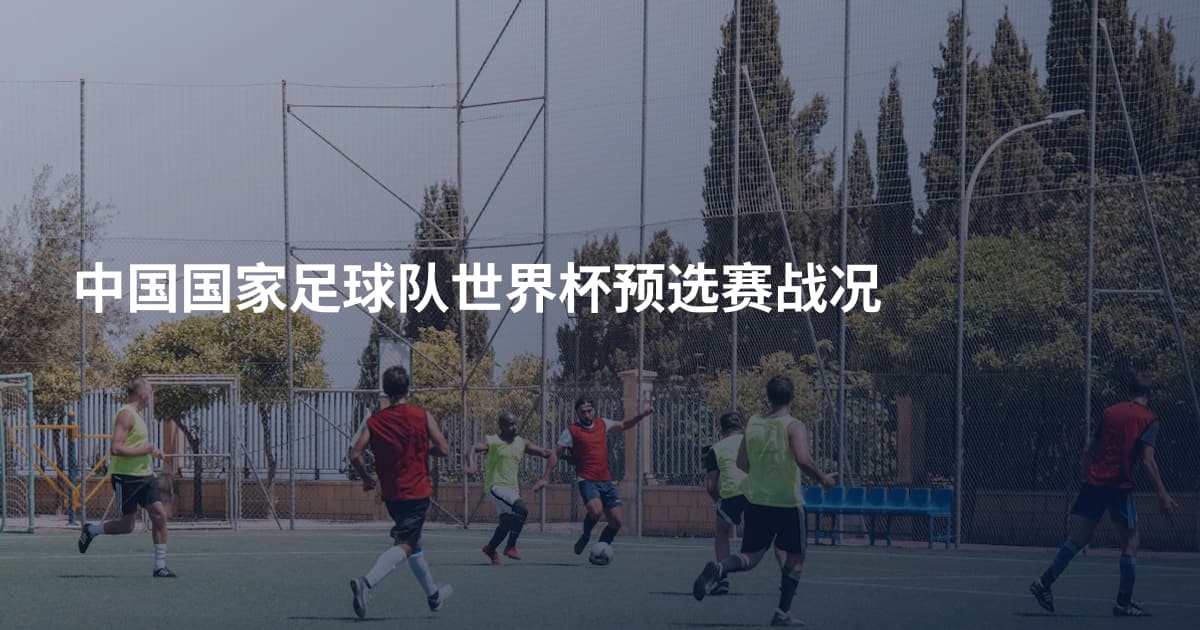 中国国家足球队世界杯预选赛战况