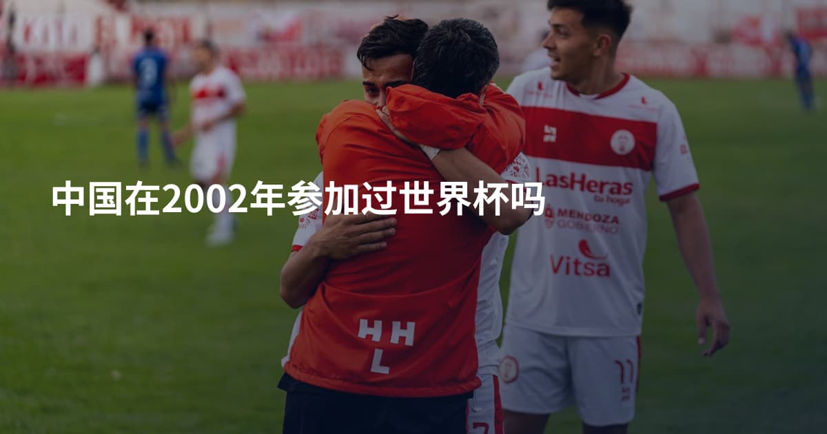 中国在2002年参加过世界杯吗