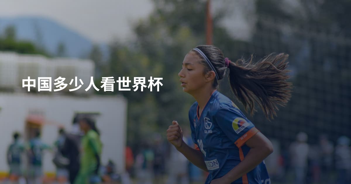 中国多少人看世界杯