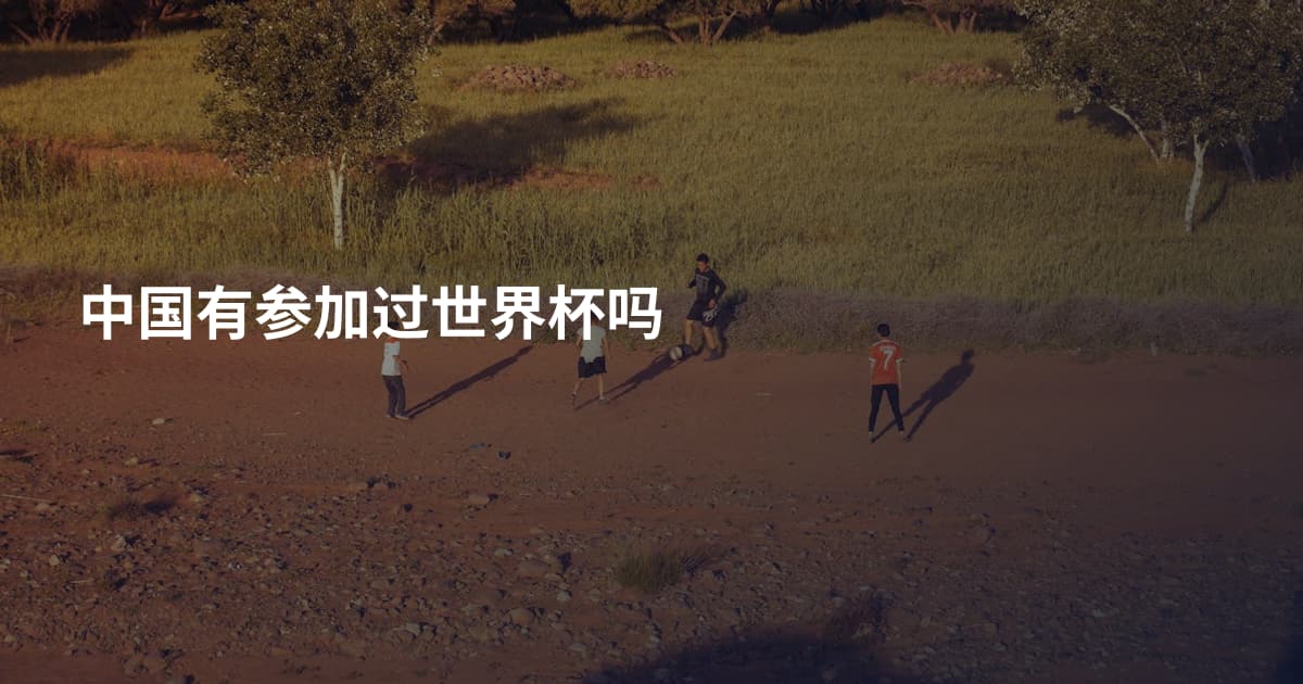 中国有参加过世界杯吗