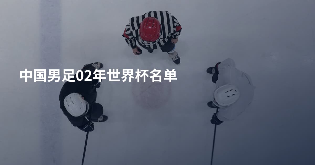 中国男足02年世界杯名单
