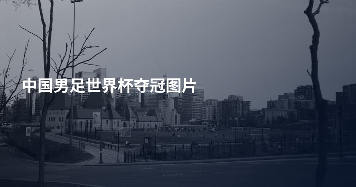 中国男足世界杯夺冠图片