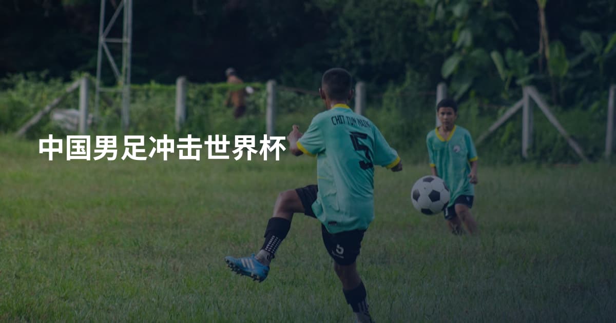 中国男足冲击世界杯