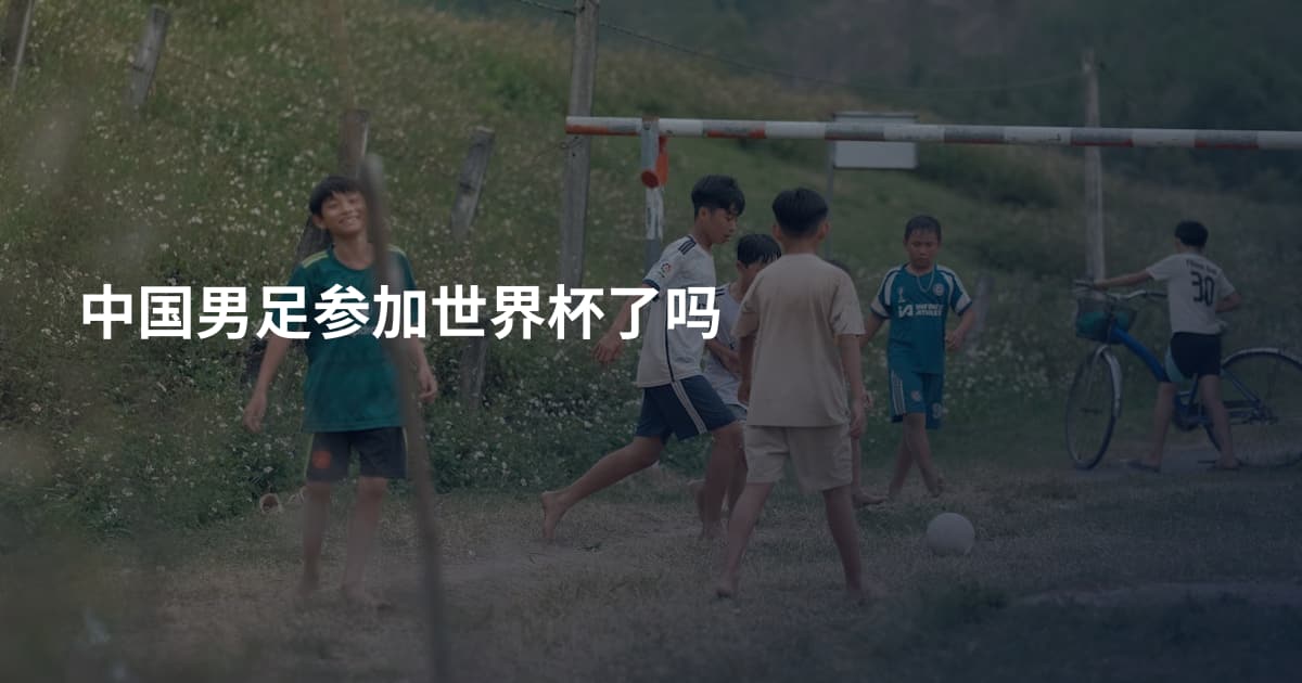 中国男足参加世界杯了吗