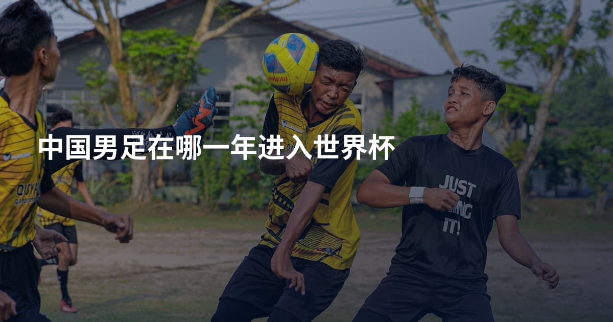 中国男足在哪一年进入世界杯