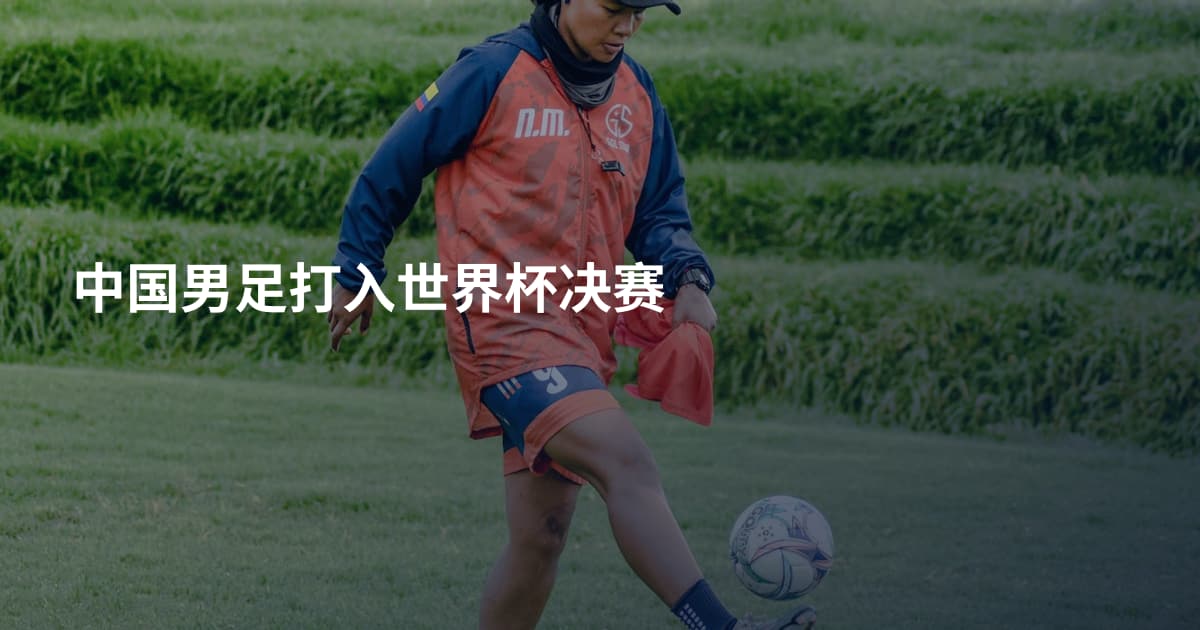 中国男足打入世界杯决赛