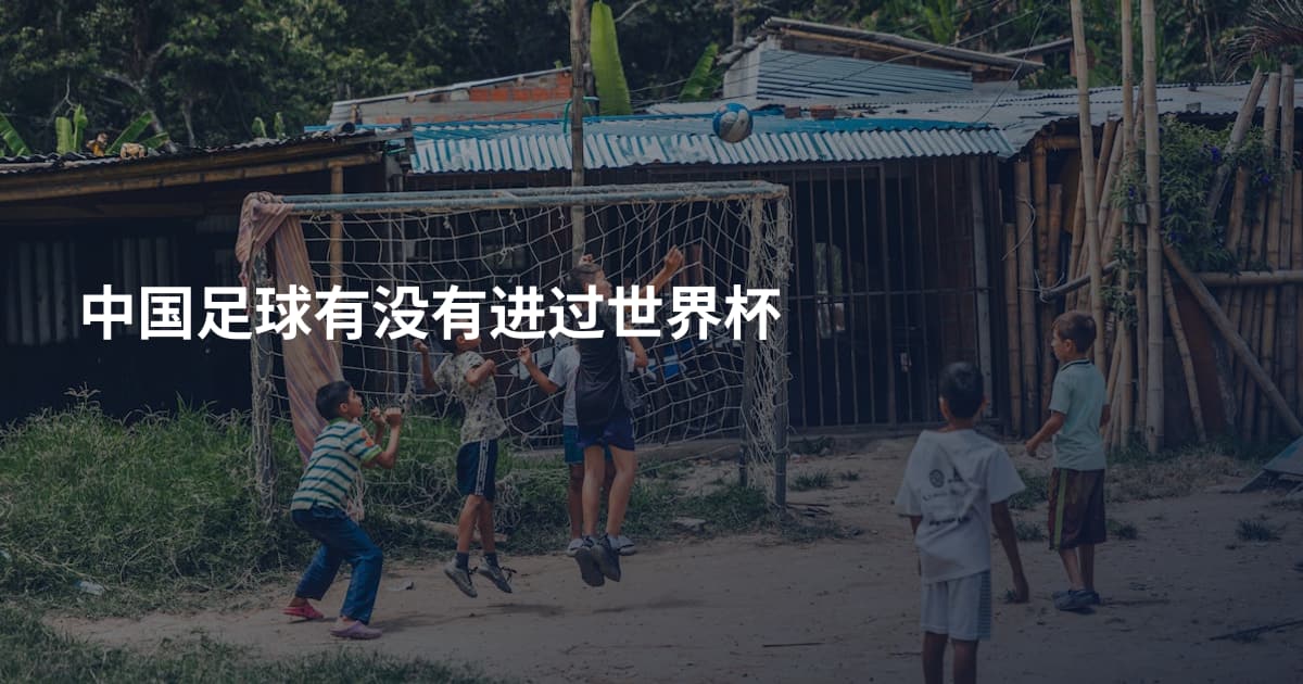 中国足球有没有进过世界杯