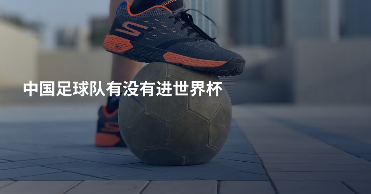 中国足球队有没有进世界杯