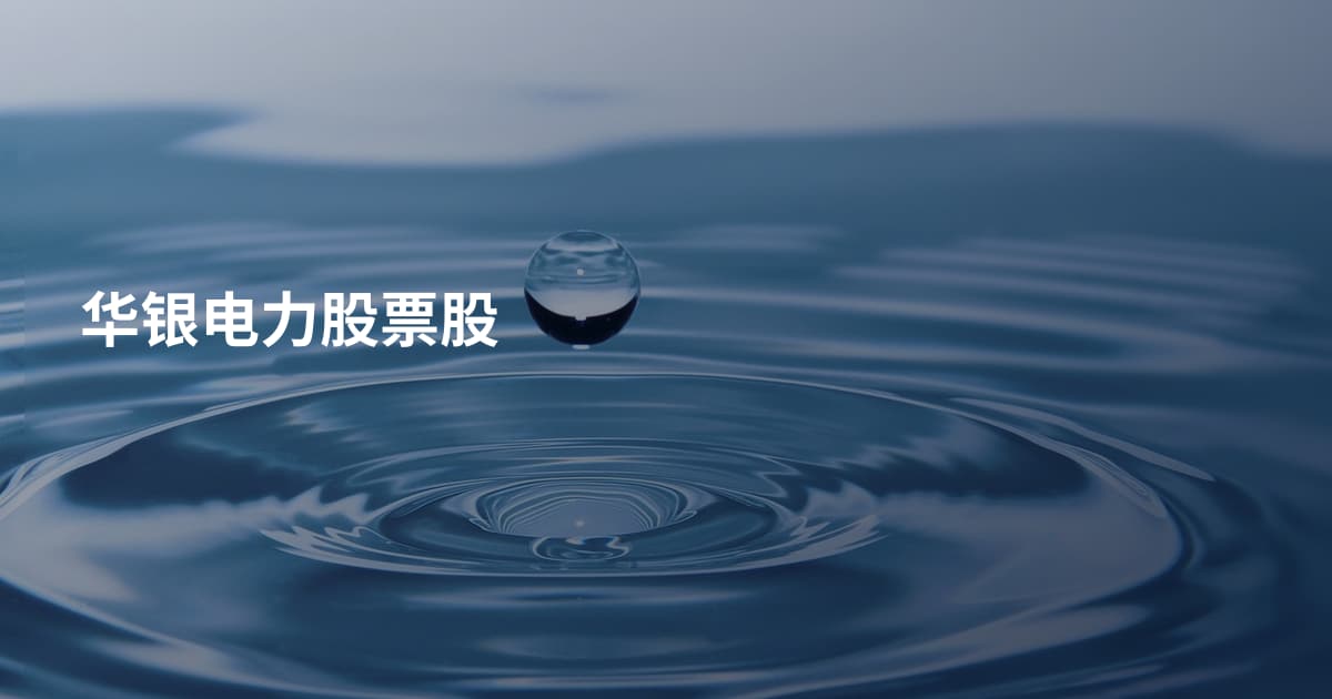 华银电力股票股