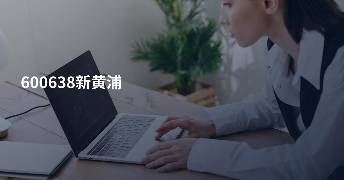 600638新黄浦