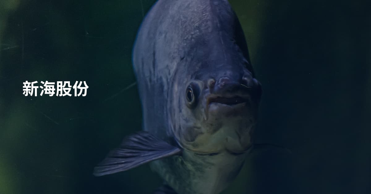 新海股份