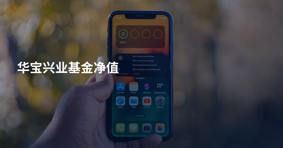 华宝兴业基金净值
