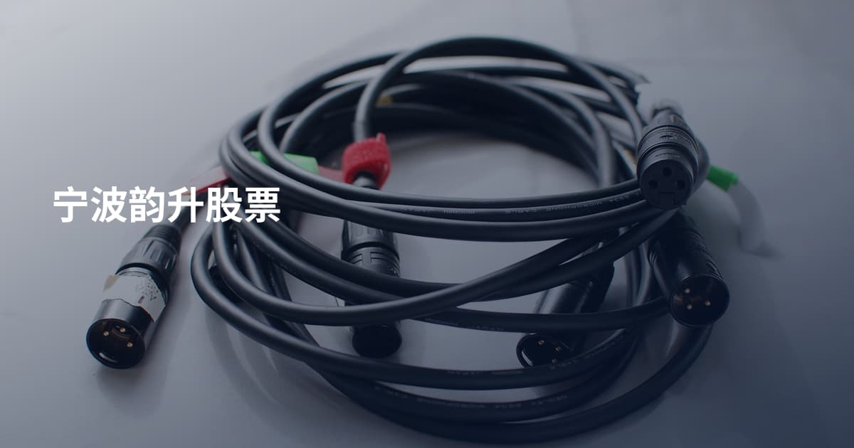 宁波韵升股票