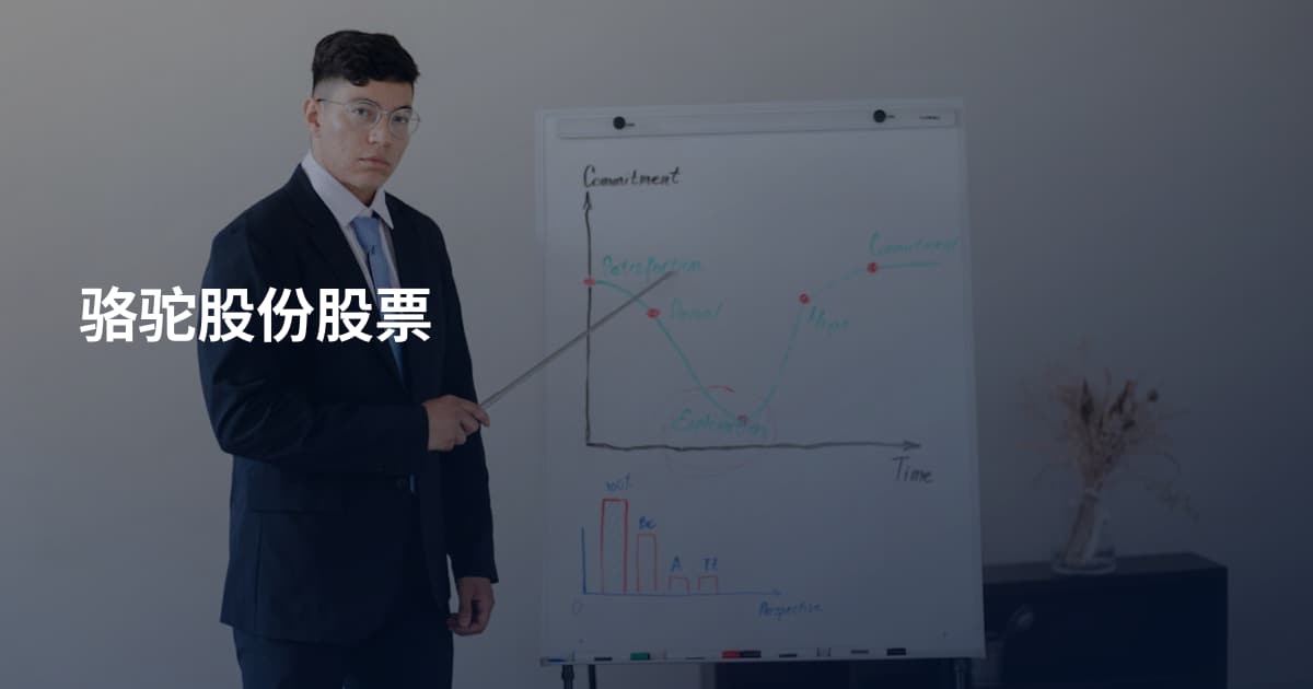 骆驼股份股票