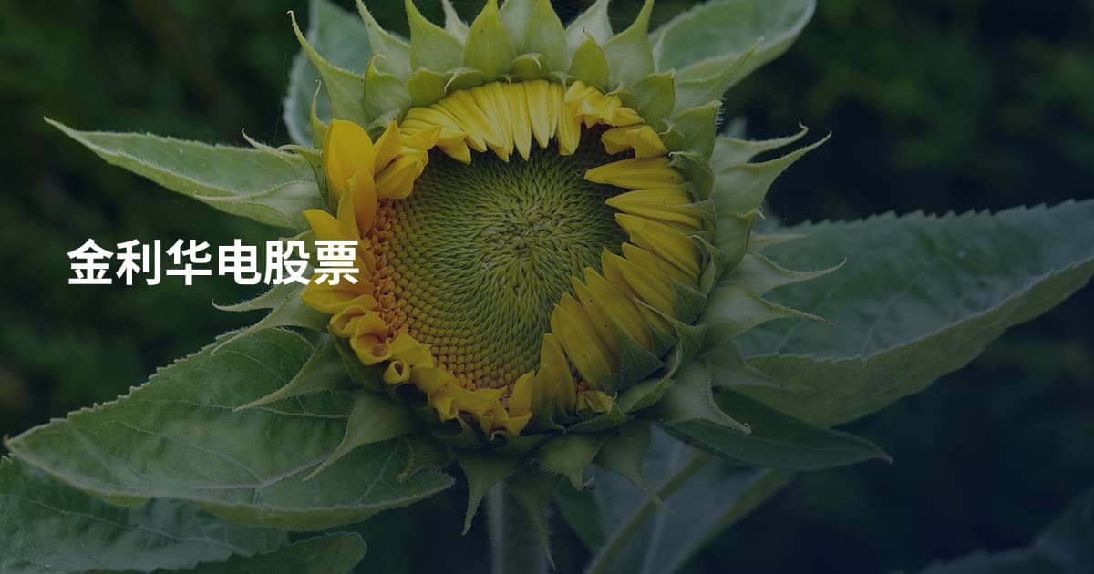 金利华电股票