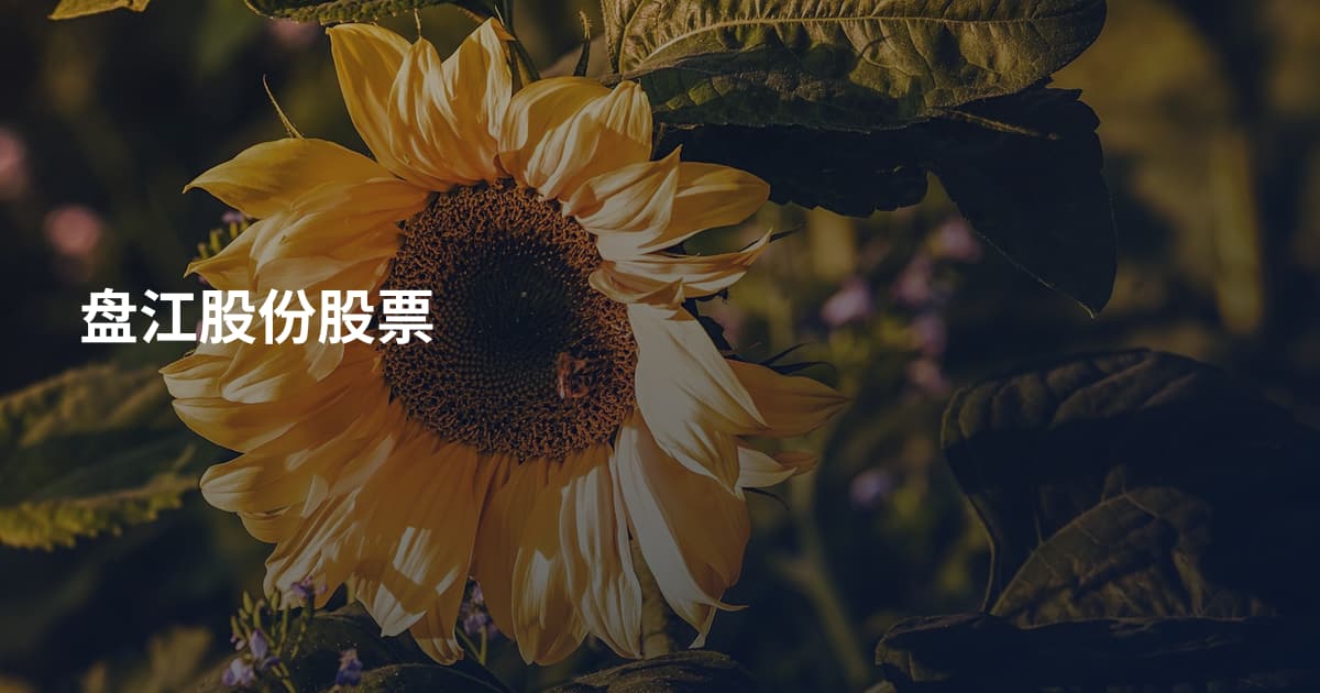 盘江股份股票