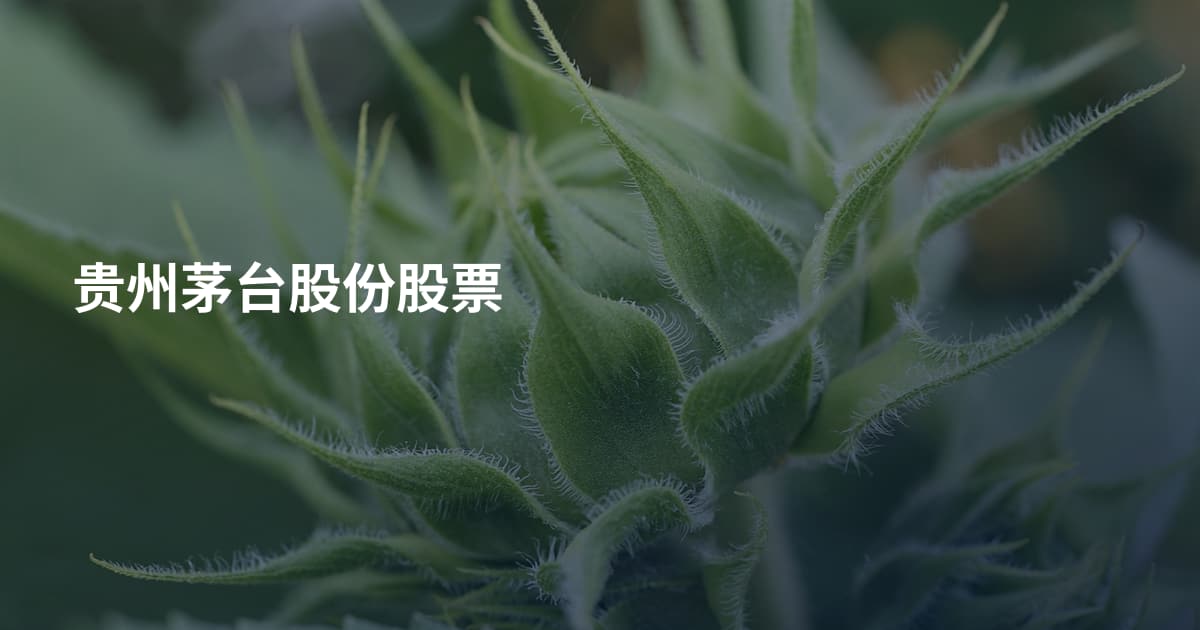 贵州茅台股份股票