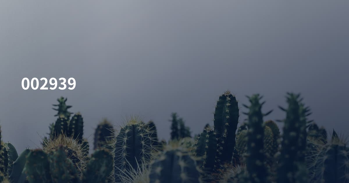002939