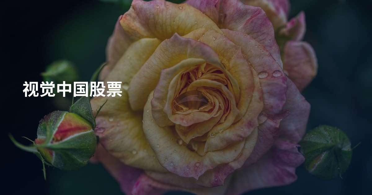 视觉中国股票