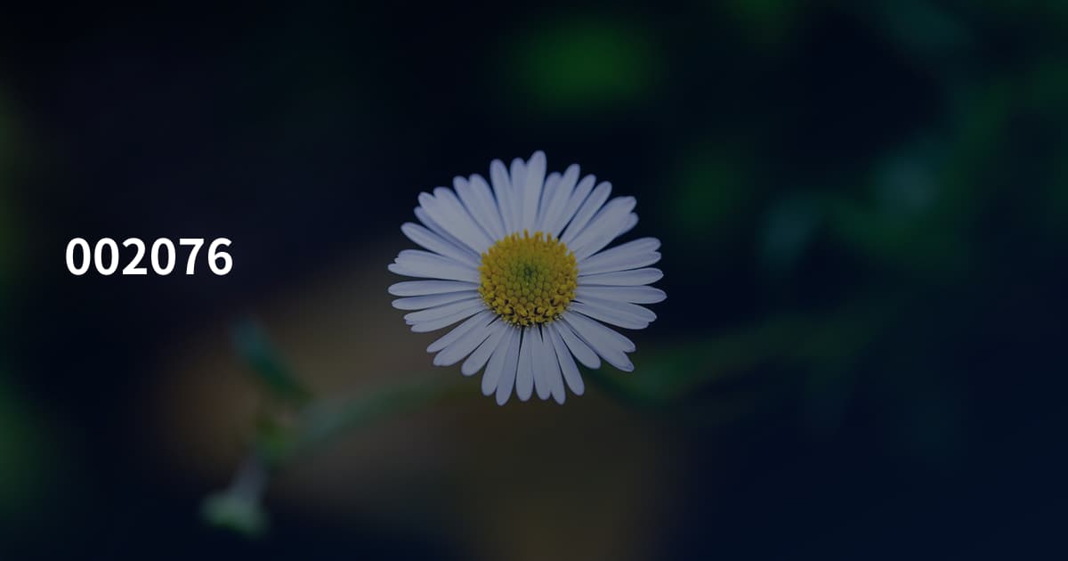 002076