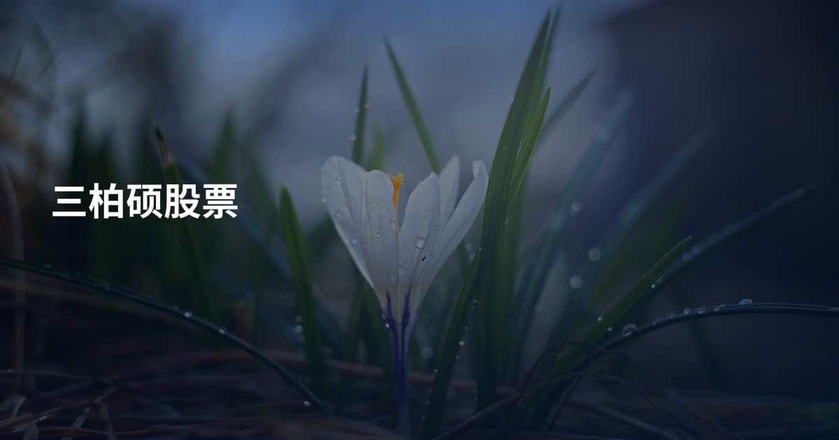三柏硕股票
